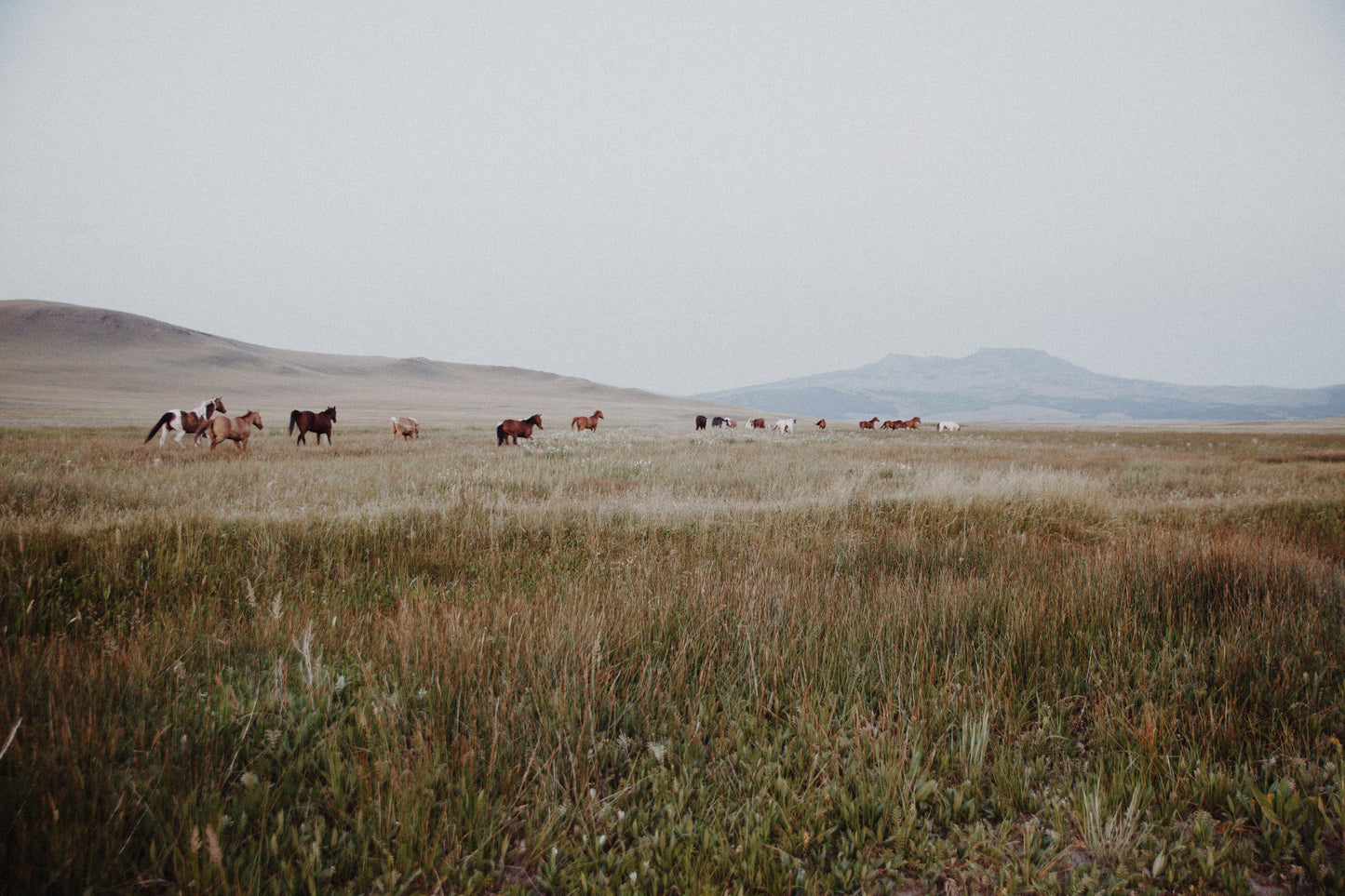 Wide Open Spaces