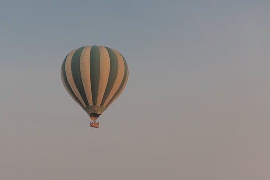 Take Flight