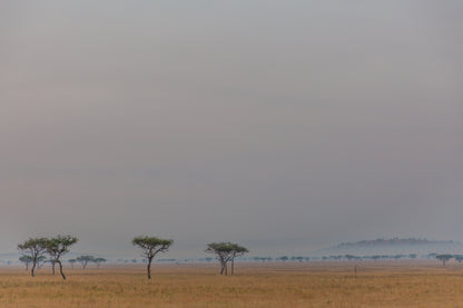 Distant Sky