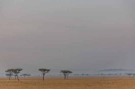 Distant Sky