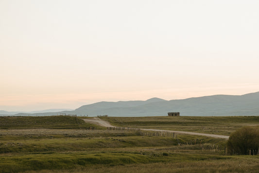Lone Road